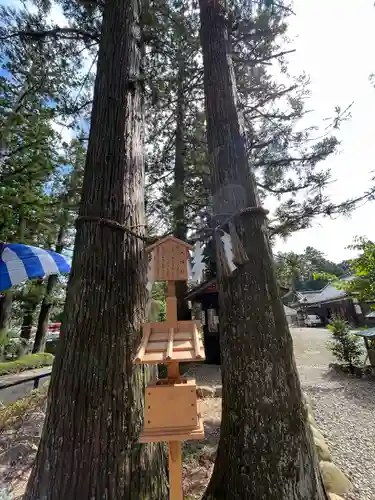 大崎八幡宮(宮城県)