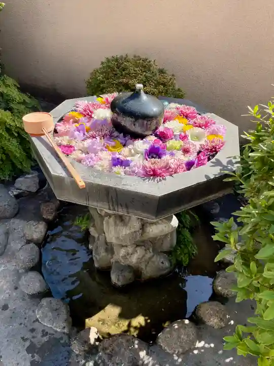 神楽坂安養寺(東京都)