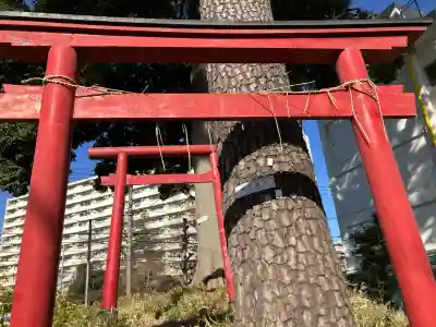 桜満観音の{uncategorized: "未分類", other: "その他", undefined: "問題あり", building: "その他建物", grave: "お墓", sacred_gate: "鳥居", guardian: "狛犬", statue: "像", buddha: "仏像", history: "歴史", nature: "自然", garden: "庭園", animal: "動物", pagoda: "塔", temizu: "手水舎", mountain_gate: "山門・神門", sanctuary: "本殿・本堂", subordinate: "末社・摂社", art: "芸術", scenery: "景色", jizo: "地蔵", ema: "絵馬", goshuin: "御朱印", omikuji: "おみくじ", items: "授与品その他", amulet: "お守り", goshuincho: "御朱印帳", eats: "食事", festival: "お祭り", votive_dance: "神楽", shichigosan: "七五三参", wedding: "結婚式", experience: "体験その他", initially: "初詣", around: "周辺", anti_infection: "感染症対策"}