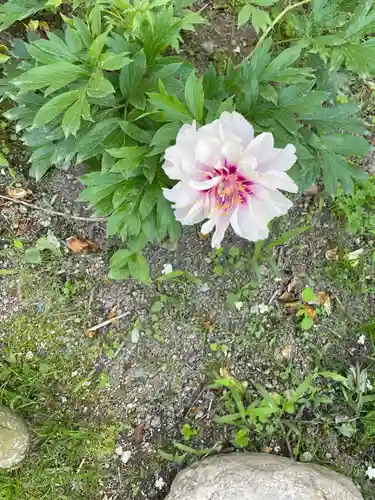 金剛寺(奈良県)