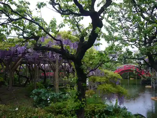 亀戸天神社の景色