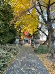 神炊館神社 ⁂奥州須賀川総鎮守⁂(福島県)