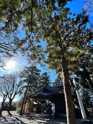 岩崎神社(長野県)