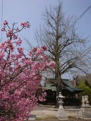 賀羅加波神社の庭園