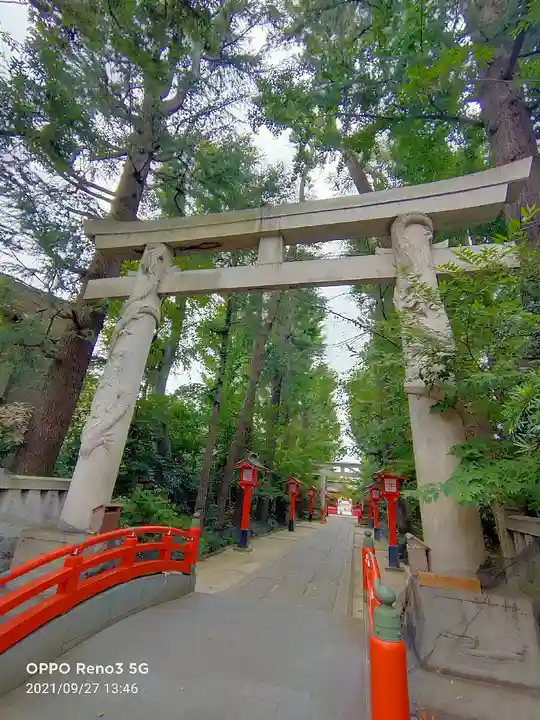 馬橋稲荷神社の鳥居
