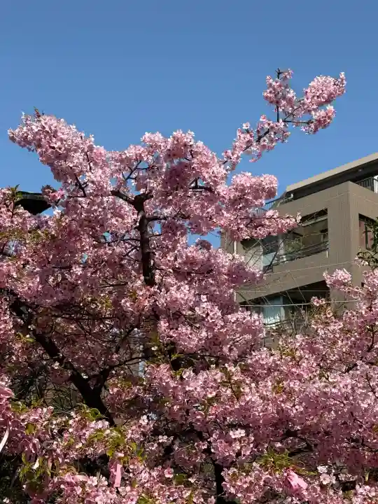 桜神宮の{uncategorized: "未分類", other: "その他", undefined: "問題あり", building: "その他建物", grave: "お墓", sacred_gate: "鳥居", guardian: "狛犬", statue: "像", buddha: "仏像", history: "歴史", nature: "自然", garden: "庭園", animal: "動物", pagoda: "塔", temizu: "手水舎", mountain_gate: "山門・神門", sanctuary: "本殿・本堂", subordinate: "末社・摂社", art: "芸術", scenery: "景色", jizo: "地蔵", ema: "絵馬", goshuin: "御朱印", omikuji: "おみくじ", items: "授与品その他", amulet: "お守り", goshuincho: "御朱印帳", eats: "食事", festival: "お祭り", votive_dance: "神楽", shichigosan: "七五三参", wedding: "結婚式", experience: "体験その他", initially: "初詣", around: "周辺", anti_infection: "感染症対策"}