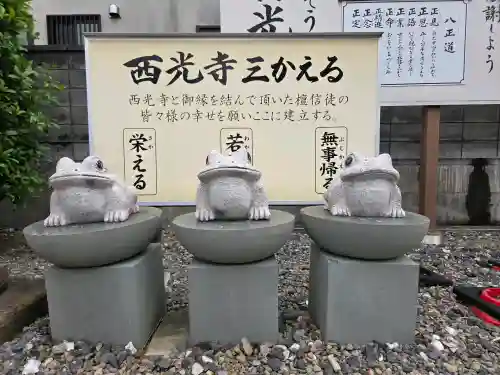 西光寺の{uncategorized: "未分類", other: "その他", undefined: "問題あり", building: "その他建物", grave: "お墓", sacred_gate: "鳥居", guardian: "狛犬", statue: "像", buddha: "仏像", history: "歴史", nature: "自然", garden: "庭園", animal: "動物", pagoda: "塔", temizu: "手水舎", mountain_gate: "山門・神門", sanctuary: "本殿・本堂", subordinate: "末社・摂社", art: "芸術", scenery: "景色", jizo: "地蔵", ema: "絵馬", goshuin: "御朱印", omikuji: "おみくじ", items: "授与品その他", amulet: "お守り", goshuincho: "御朱印帳", eats: "食事", festival: "お祭り", votive_dance: "神楽", shichigosan: "七五三参", wedding: "結婚式", experience: "体験その他", initially: "初詣", around: "周辺", anti_infection: "感染症対策"}
