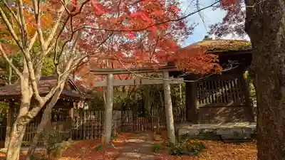 蓮華寺（洛北蓮華寺）(京都府)