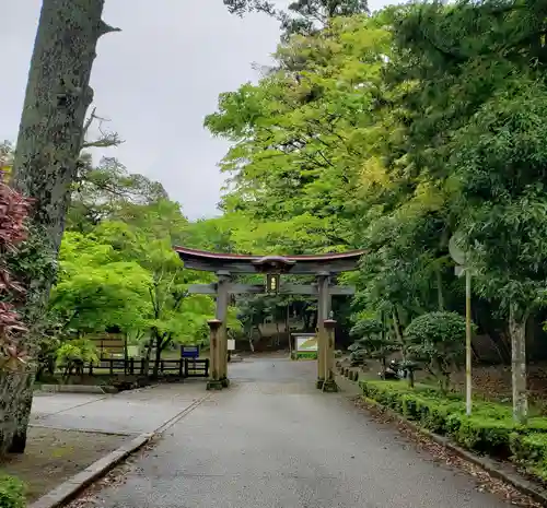 鳥取東照宮（樗谿神社）の鳥居