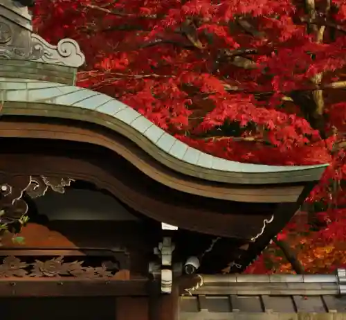 榮攝院（栄摂院）(京都府)