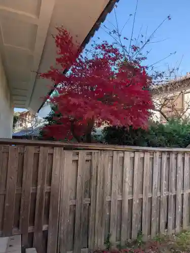 法輪寺(奈良県)