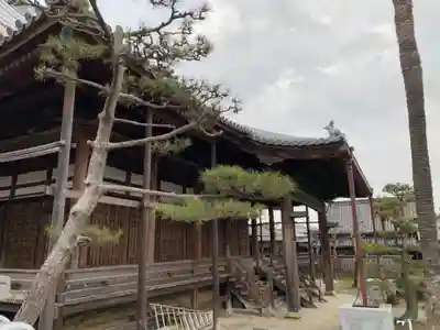 光触寺の本殿・本堂