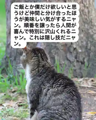 専念寺(大阪府)