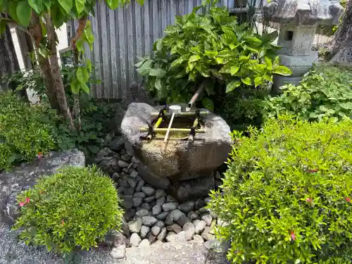 沙沙貴神社の{uncategorized: "未分類", other: "その他", undefined: "問題あり", building: "その他建物", grave: "お墓", sacred_gate: "鳥居", guardian: "狛犬", statue: "像", buddha: "仏像", history: "歴史", nature: "自然", garden: "庭園", animal: "動物", pagoda: "塔", temizu: "手水舎", mountain_gate: "山門・神門", sanctuary: "本殿・本堂", subordinate: "末社・摂社", art: "芸術", scenery: "景色", jizo: "地蔵", ema: "絵馬", goshuin: "御朱印", omikuji: "おみくじ", items: "授与品その他", amulet: "お守り", goshuincho: "御朱印帳", eats: "食事", festival: "お祭り", votive_dance: "神楽", shichigosan: "七五三参", wedding: "結婚式", experience: "体験その他", initially: "初詣", around: "周辺", anti_infection: "感染症対策"}