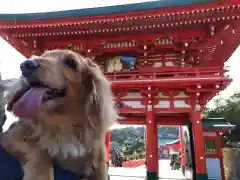 鵜戸神宮(宮崎県)