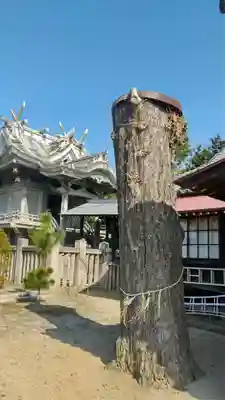 熊野神社の自然