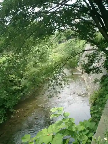 蛭子神社の自然