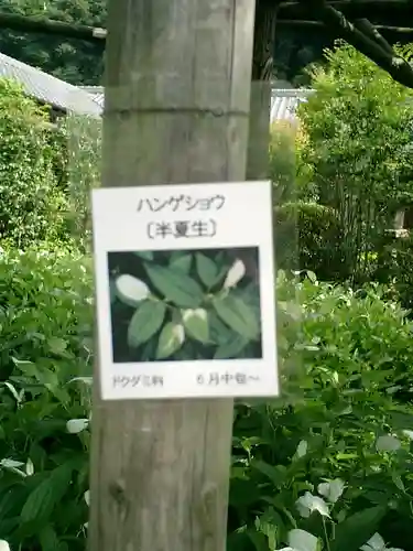 光則寺のその他建物