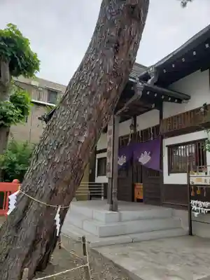 猿田彦神社のその他建物