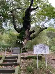 那須温泉神社(栃木県)