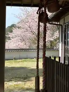 大山祇神社のその他建物(2022年04月05日(火) 23時32分59秒投稿)