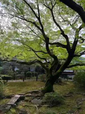 青蓮院門跡(京都府)