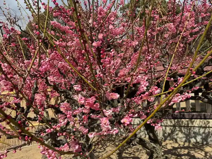 結城神社(三重県)