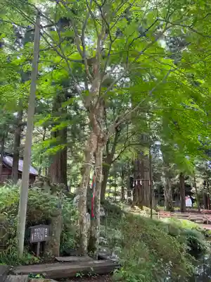 河口浅間神社(山梨県)