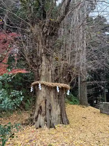 川勾神社(神奈川県)