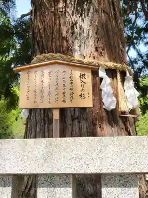 諏訪大社下社秋宮(長野県)