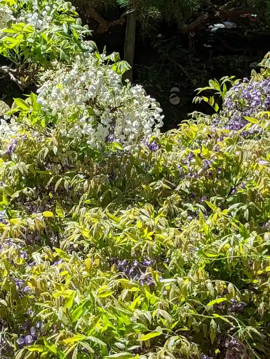 長慶院(京都府)
