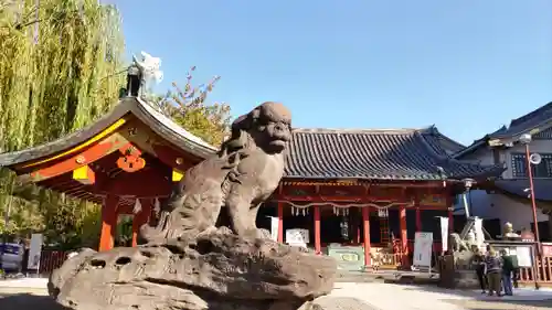 浅草神社の狛犬