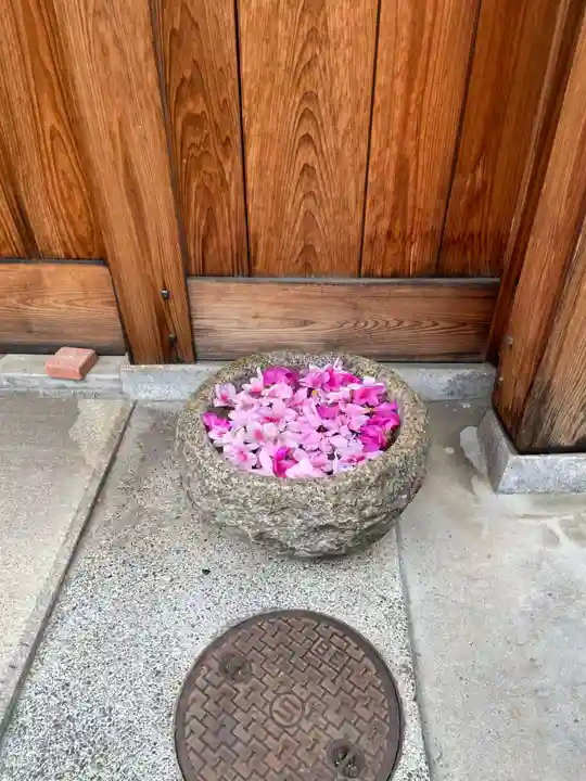 新道寺(京都府)