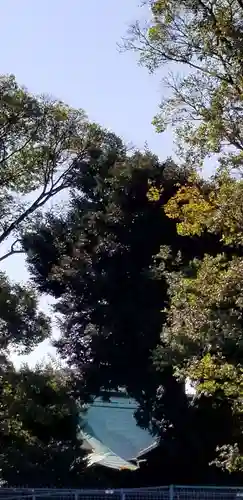 北野神社(東京都)
