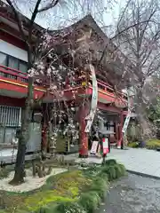 秩父神社(埼玉県)