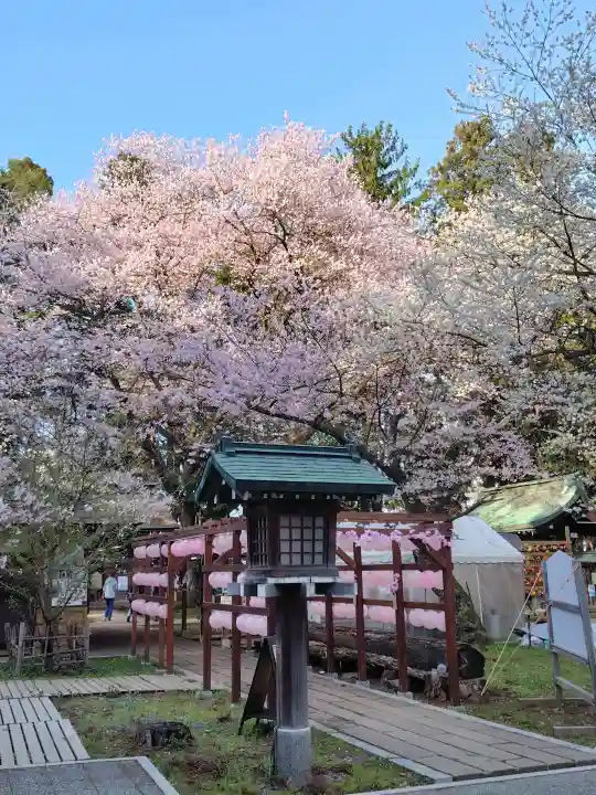 駒形神社の{uncategorized: "未分類", other: "その他", undefined: "問題あり", building: "その他建物", grave: "お墓", sacred_gate: "鳥居", guardian: "狛犬", statue: "像", buddha: "仏像", history: "歴史", nature: "自然", garden: "庭園", animal: "動物", pagoda: "塔", temizu: "手水舎", mountain_gate: "山門・神門", sanctuary: "本殿・本堂", subordinate: "末社・摂社", art: "芸術", scenery: "景色", jizo: "地蔵", ema: "絵馬", goshuin: "御朱印", omikuji: "おみくじ", items: "授与品その他", amulet: "お守り", goshuincho: "御朱印帳", eats: "食事", festival: "お祭り", votive_dance: "神楽", shichigosan: "七五三参", wedding: "結婚式", experience: "体験その他", initially: "初詣", around: "周辺", anti_infection: "感染症対策"}