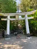宝登山神社の鳥居
