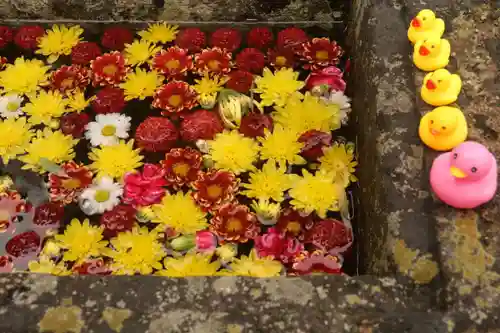 八幡神社の手水舎