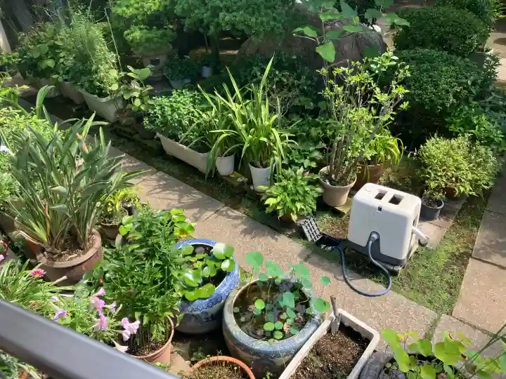 光増寺(東京都)