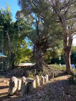 正福寺(千葉県)