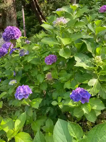 東慶寺(神奈川県)