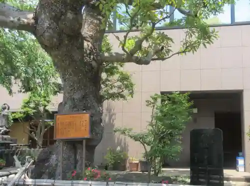 大光院(神奈川県)