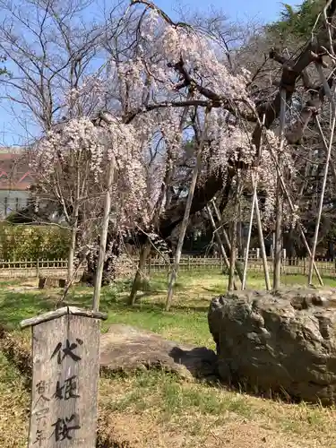 弘法寺(千葉県)