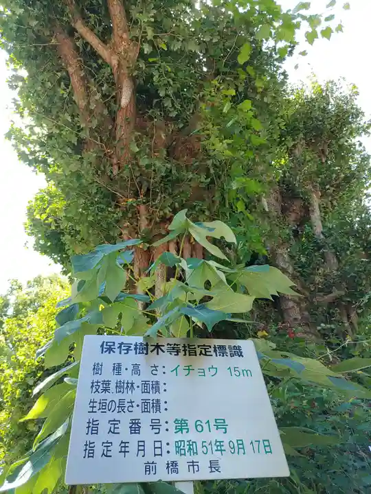 前橋八幡宮(群馬県)