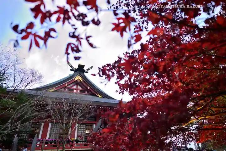 大山阿夫利神社(神奈川県)