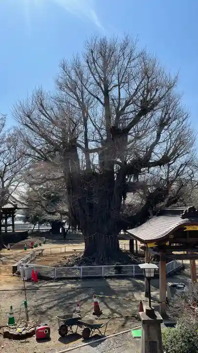 千葉寺(千葉県)