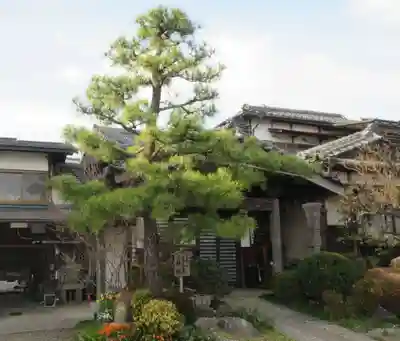 東漸寺(神奈川県)