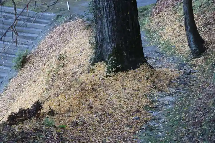三春大神宮の自然