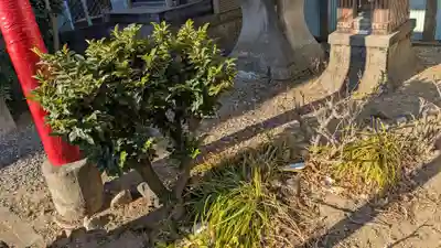 野木神社(群馬県)