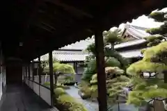 十輪寺の庭園